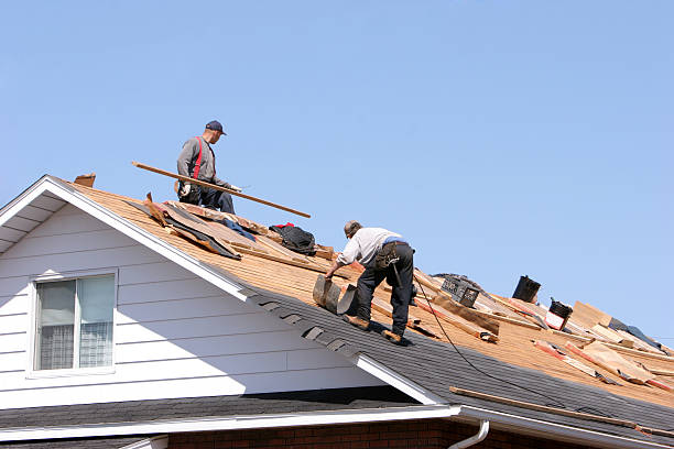Best Roof Moss and Algae Removal  in Unionville, NC